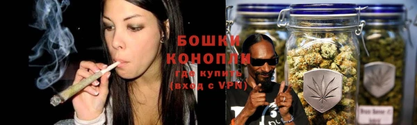 винт Протвино