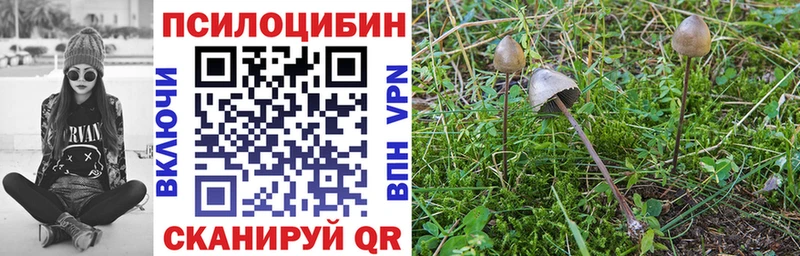 Псилоцибиновые грибы Psilocybine cubensis  где купить наркоту  Краснообск 